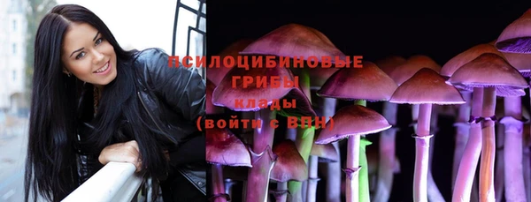прущие крисы Алзамай