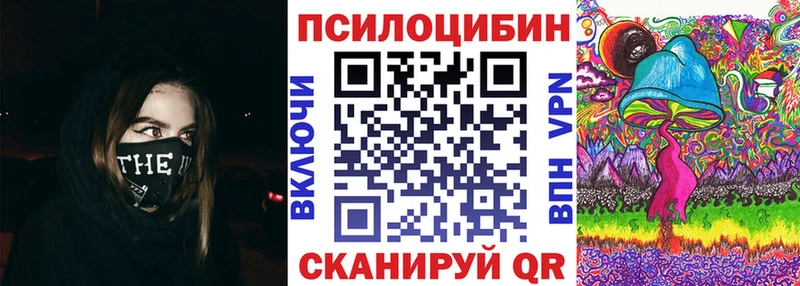 наркота  Козловка  Псилоцибиновые грибы Cubensis 